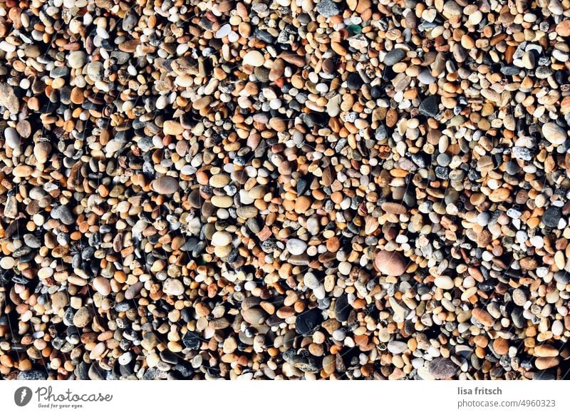 STEINE AM MEER Steine bunt Strand Steinstrand Natur Farbfoto Außenaufnahme