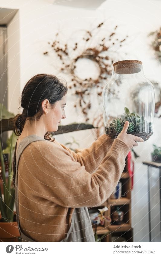 Frau bewundert getöpferte Komposition aus kleinen grünen Sukkulenten zu Hause Terrarium wachsen Kaktus Zimmerpflanze heimwärts Flora Pflanze Floristik