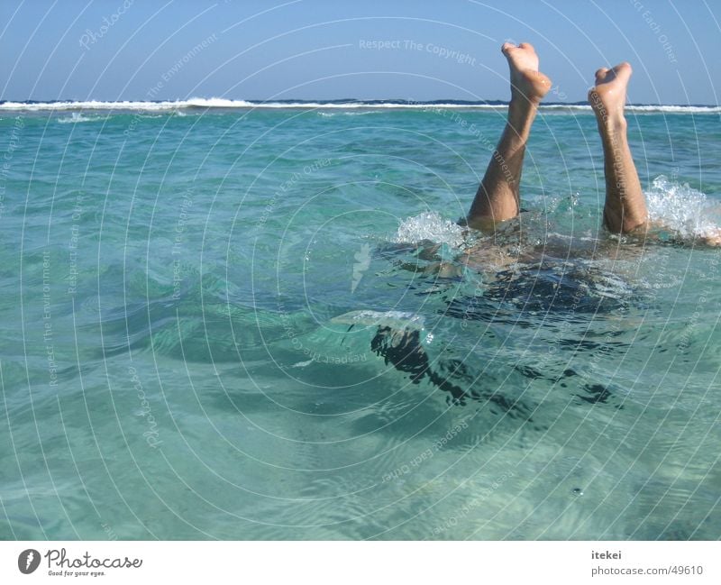 Einfach Mal Abtauchen Meer Schnorcheln Taucher Tauchgerät Karibisches Meer Wellen türkis Wasser Fuß Schwimmen & Baden