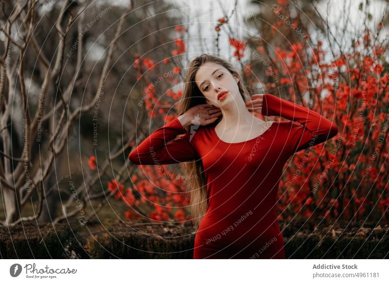 Junge verträumte Frau zwischen Blumen Porträt Landschaft schön Teenager Natur feminin jung Feld hübsch rot ländlich Wiese Sommer niedlich Lifestyle im Freien