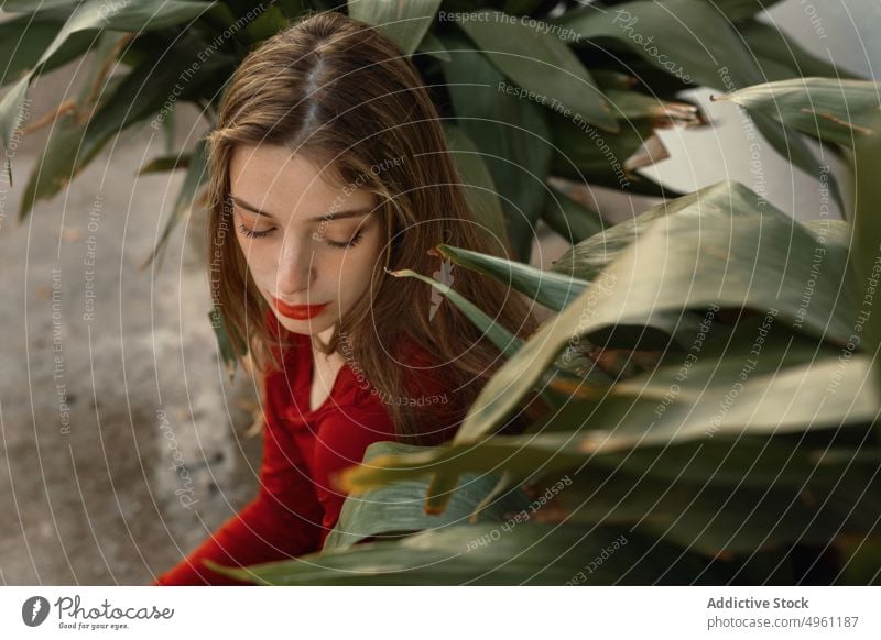 Junge verträumte Frau zwischen Pflanzenblättern Porträt Landschaft schön Teenager Natur feminin jung Feld hübsch rot Blumen ländlich Wiese Sommer niedlich