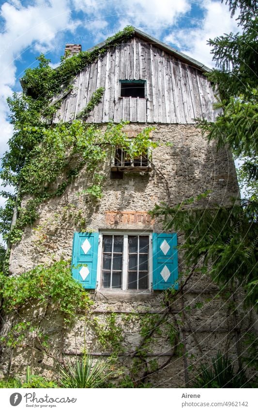 naturverbunden | Häuschen im Grünen Idylle Haus Fenster Fassade Zufriedenheit Geborgenheit Schutz Froschperspektive alt Altbau Sonnenlicht Licht natürlich