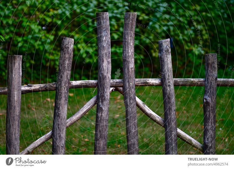 Alter Zaun, Tor, Gatter, Absperrung in organischem bio Design vor Gras und grüner Hecke alt einfach Holz Äste naturbelassen Natur Park Wiese verwittert grau