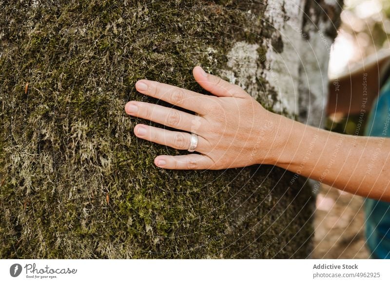 Anonyme Frau, die einen Baumstamm umarmt Tourist Umarmung Wald Sommer Kofferraum Moos Ring Wochenende Natur Wälder Waldgebiet Liebe Rinde natürlich tagsüber