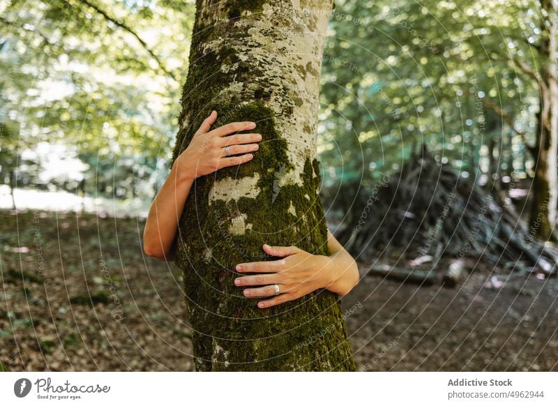 Anonyme Frau, die einen Baumstamm umarmt Tourist Umarmung Wald Sommer Kofferraum Moos Ring Wochenende Natur Wälder Waldgebiet Liebe Rinde natürlich tagsüber