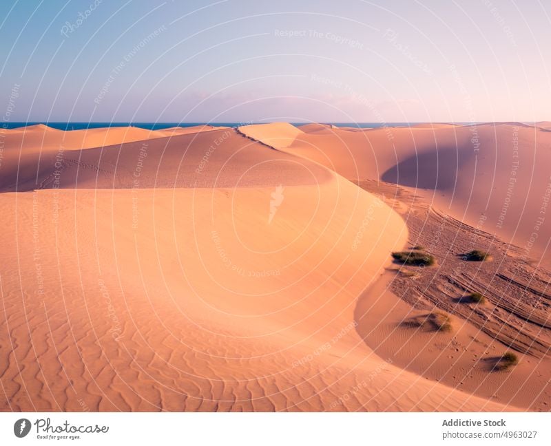 Trockene Wüste am Meer bei Sonnenuntergang wüst Düne trocken MEER Himmel Sand Strand Abend Küste Gran Canaria Kanarische Inseln Spanien Landschaft marin