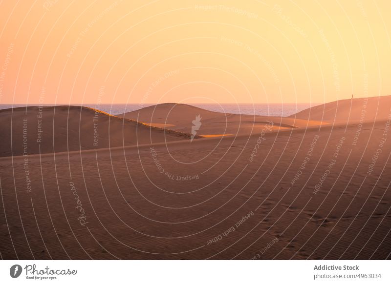 Dünen am Meer bei Sonnenuntergang Sand Ufer MEER Wolkenloser Himmel Strand trocken Abend Wasser Gran Canaria Spanien Kanarische Inseln malerisch atemberaubend