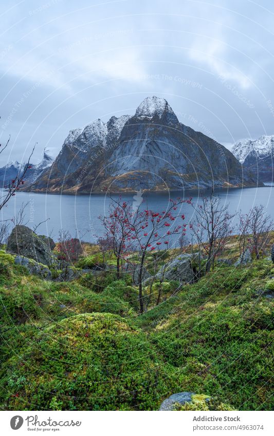 Küste in der Nähe von felsigen Bergen gegen bedeckten Himmel Berge u. Gebirge MEER Natur Winter Fjord malerisch Kamm Landschaft Meeresufer Schnee