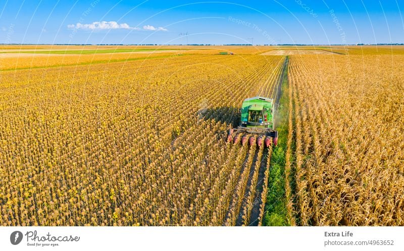 Luftaufnahme von Mähdrescher, Erntemaschine erntet reife Sonnenblume oben Antenne landwirtschaftlich Ackerbau Agronomie Müsli Land kultiviert Bodenbearbeitung