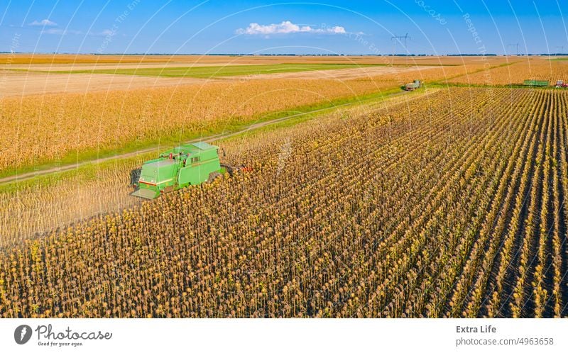 Blick von oben auf Mähdrescher, Erntemaschine erntet reife Sonnenblumen Antenne landwirtschaftlich Ackerbau Agronomie Müsli Land kultiviert geschnitten