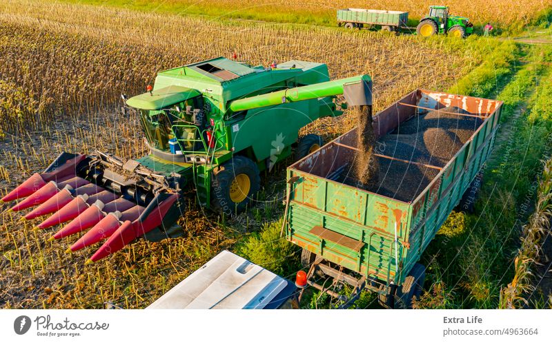 Luftaufnahme eines Mähdreschers, der frisch geerntetes Getreide zum Transport auf einen Anhänger lädt oben Antenne landwirtschaftlich Ackerbau Agronomie Ladung