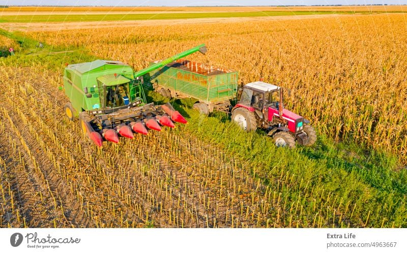 Luftaufnahme eines Mähdreschers, der frisch geerntetes Getreide zum Transport auf einen Anhänger lädt oben Antenne landwirtschaftlich Ackerbau Agronomie Ladung