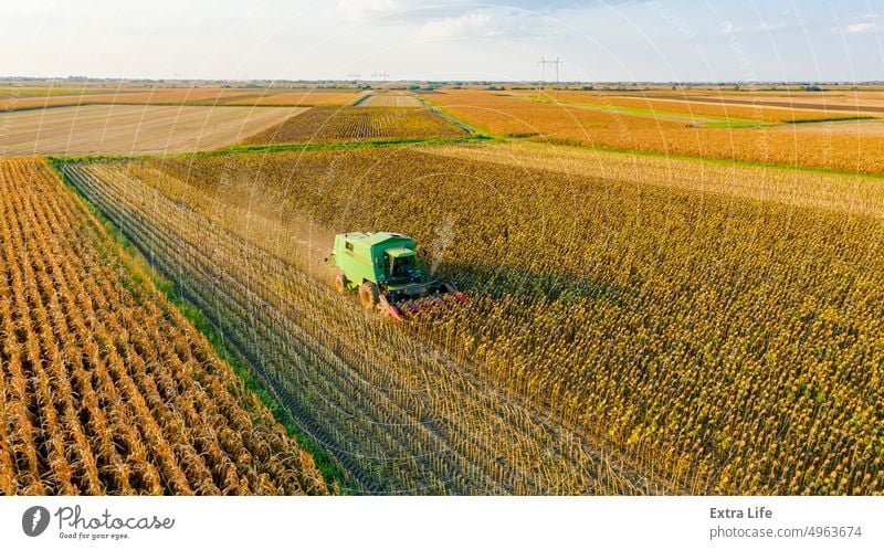 Luftaufnahme von Mähdrescher, Erntemaschine erntet reife Sonnenblume oben Antenne landwirtschaftlich Ackerbau Agronomie Müsli Land kultiviert Bodenbearbeitung