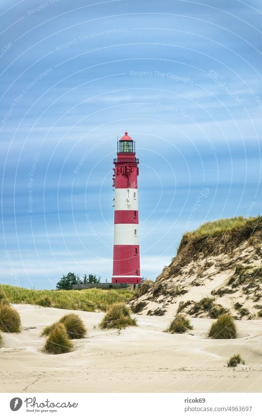 Leuchtturm in Wittdün auf der Nordseeinsel Amrum Düne Schleswig-Holstein Insel Küste Reise Dünengras Urlaub Wahrzeichen Sehenswürdigkeit Seezeichen Leuchtfeuer