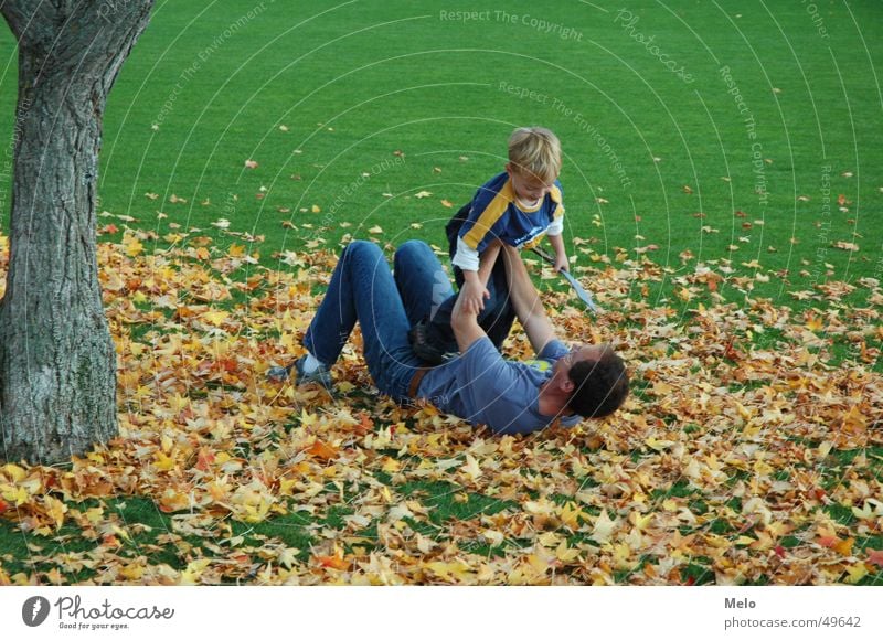 father & son Vater grün Gras Baum Spielen toben Blatt Kind Junge Eltern Vatertag