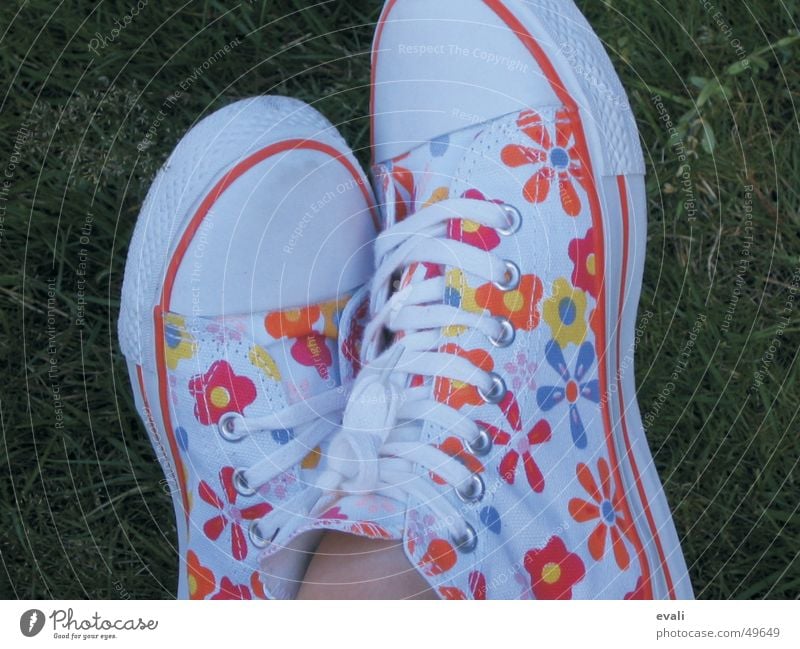 blümchenschuhe Schuhe lässig Bekleidung Blume mehrfarbig schön Sommer Gras grün gelb rot weiß Turnschuh Freizeit & Hobby Chucks Muster Frühling springen Wiese