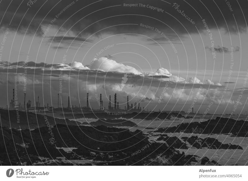 Apocalypse Now Raffinerie Energiewirtschaft Industrie Weltuntergang Fabrik Technik & Technologie Industrieanlage Energiekrise Benzin Diesel