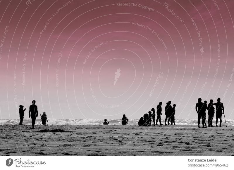 Silhouette mehrerer Menschen am Strand unter rotem Abendhimmel Licht Himmel Sonnenuntergang Wasser Sommer Wellen Strandspaziergang Horizont Strandleben Küste