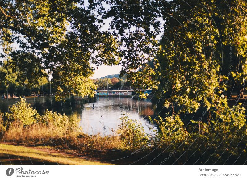 An der schönen Saar saar Saarbrücken Fluss Ufer Sommer herbst spaziergang Landschaft Bäume Gebüsch Aussicht Wasser Natur Erholung Grün