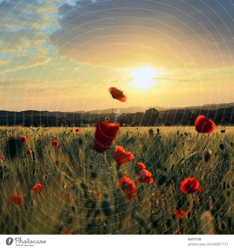 Abendstimmung an einem Mo(h)ntag Sommer Abendlicht lauer Sommerabend Horizont Sonne Sonnenstrahlen Sonnenuntergang Himmelsfarben Landschaft Berge Wälder