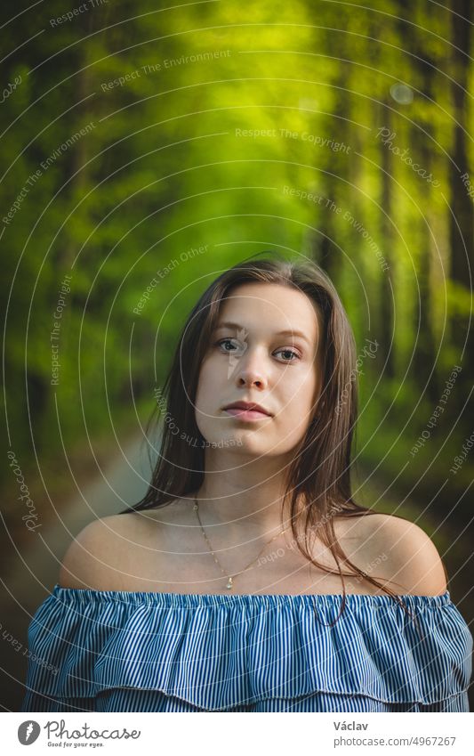 Atemberaubendes Porträt einer jungen Brünetten in einem schönen blauen Sommerkleid auf einem Waldweg, umgeben von üppigen Sommerbäumen. Ein gemessener und ehrgeiziger Blick