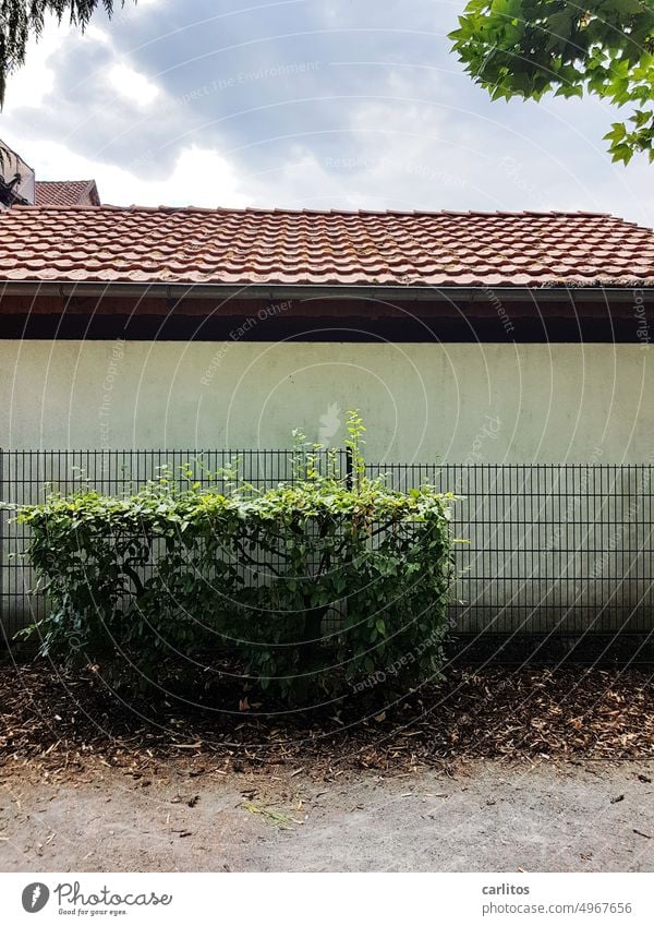 Zaunkönigspalast | Schöner Wohnen war gestern Garage Gebüsch Hinterhof Tristesse Stabmattenzaun trist grau Gebäude Fassade Wand Menschenleer Bauwerk Architektur