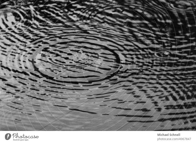 Starkregen Pfütze Regen Wasser nass Reflexion & Spiegelung Wetter schlechtes Wetter Herbst Regenwetter Außenaufnahme feucht