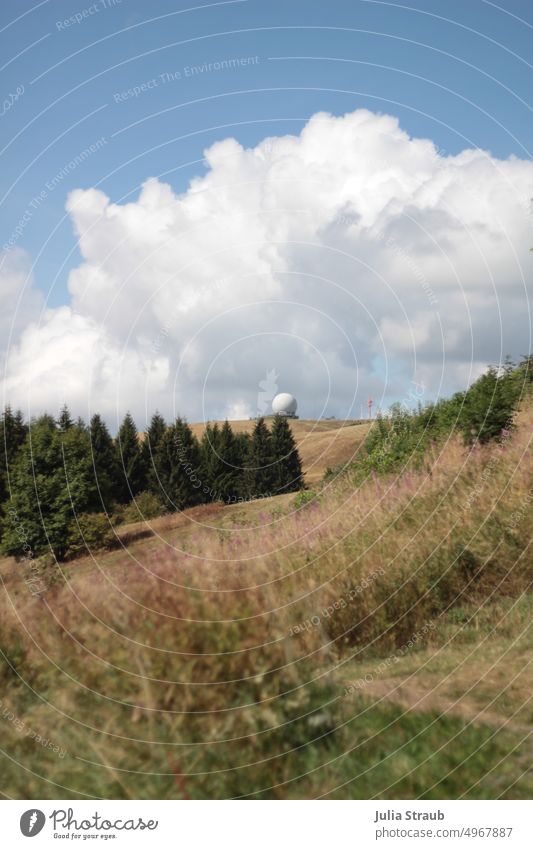 Radom an der Wasserkuppe Rhön wald und wiese Tannen Wiese Gras Natur Naturschutzgebiet Naturerlebnis draußen wolkiger himmel wandern natur geniessen Wanderwege