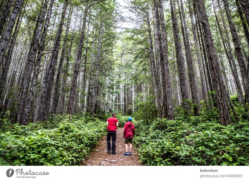 rotjäckchen Wege & Pfade Wanderer Zusammensein gemeinsam Umwelt Außenaufnahme Natur Sommer Sohn Vater wandern Junge Mann Kind Eltern Familie & Verwandtschaft