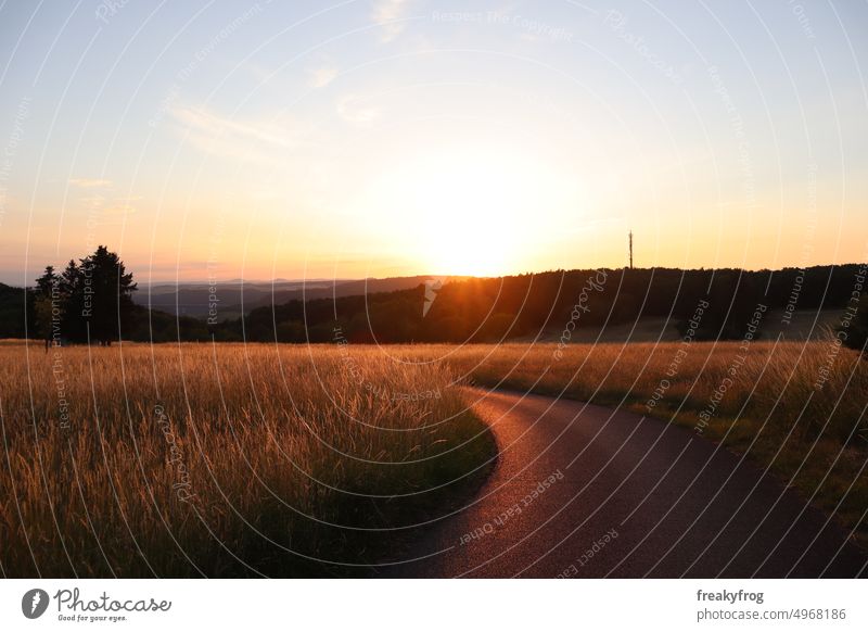 Der Weg in der Abendsonne Wege & Pfade Abenddämmerung Himmel Natur Landschaft Wolken Menschenleer Farbfoto Tag Wiese Umwelt Feld Sommer Gras Sonnenlicht grün