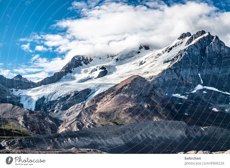 wunderwelt Wasser Icefields Parkway Felsen Ferne Fernweh Alberta fantastisch Tourismus besonders Ferien & Urlaub & Reisen Außenaufnahme Natur Rocky Mountains