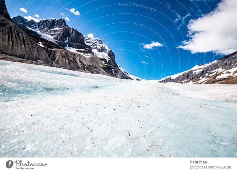 guten rutsch! Wasser Felsen Fernweh Ferne Icefields Parkway Alberta fantastisch besonders Tourismus Ferien & Urlaub & Reisen Außenaufnahme Natur Rocky Mountains