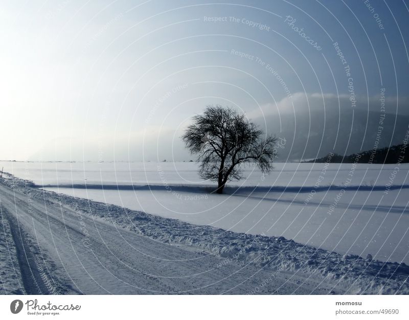 ...allein im Schnee Winter Baum Wolken Österreich Himmel Straße Sonne snow tree road sky clouds sun