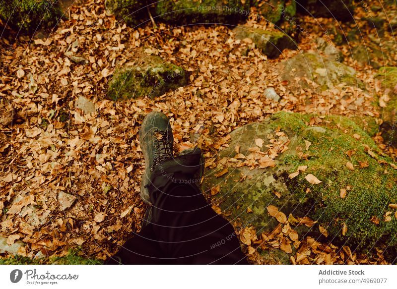 Nahaufnahme der Beine einer Frau mit Wanderstiefeln im Wald Natur Lifestyle im Freien Aktivität Menschen Fuß Gesundheit Sport aktiv jung Person Schuhe wandern