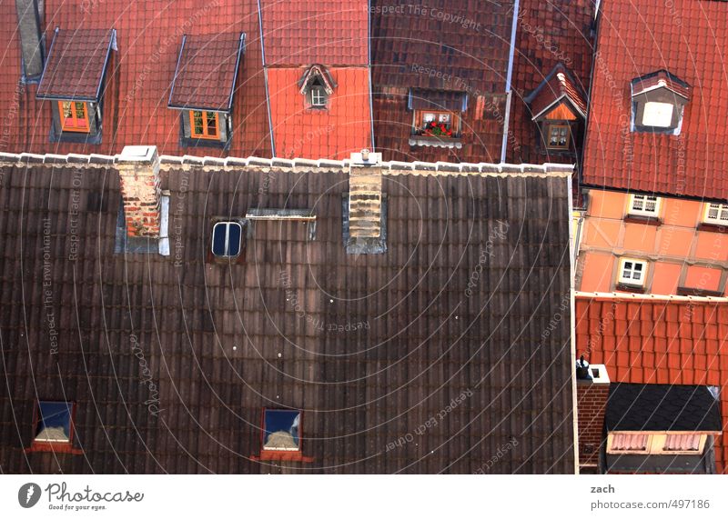 Dachdeckers Paradies Quedlinburg Stadt Altstadt Menschenleer Haus Traumhaus Ruine Bauwerk Gebäude Architektur Fachwerkhaus Fachwerkfassade Mauer Wand Fassade