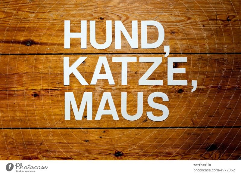 HUND, KATZE, MAUS abstrakt aussage begriff botschaft buchstabe einzelbuchstabe parole passwort satz satzschrift schlüsselwort schreiben setzerei slogan text