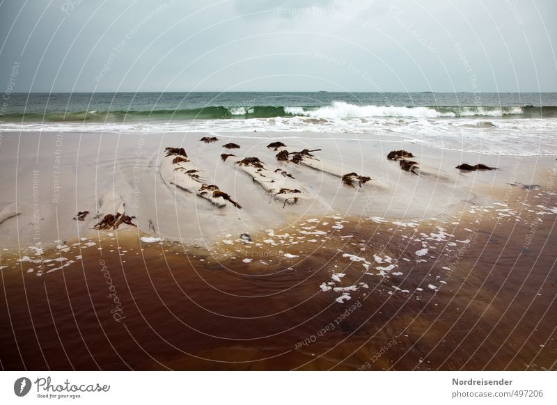 Wasserfarben Leben Sinnesorgane Meditation Meer Urelemente Sand Küste Flussufer Moor Sumpf außergewöhnlich exotisch natürlich blau braun Fernweh Endzeitstimmung