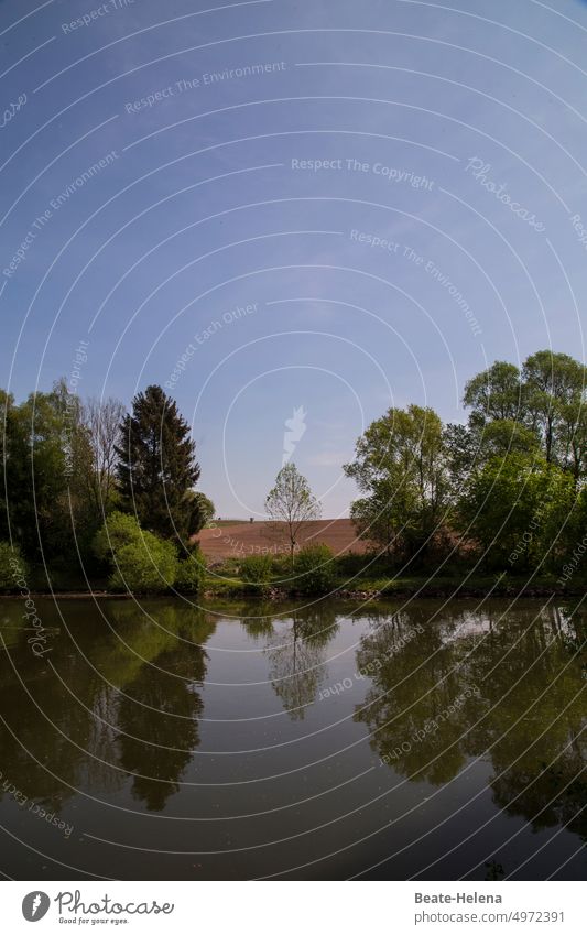 Idyllische Landschaftsspiegelung am Wasser Spiegelung Ufer Himmel blau wolkenlos Idylle parallel Bäume Traumhaft beruhigend Reflexion & Spiegelung Natur