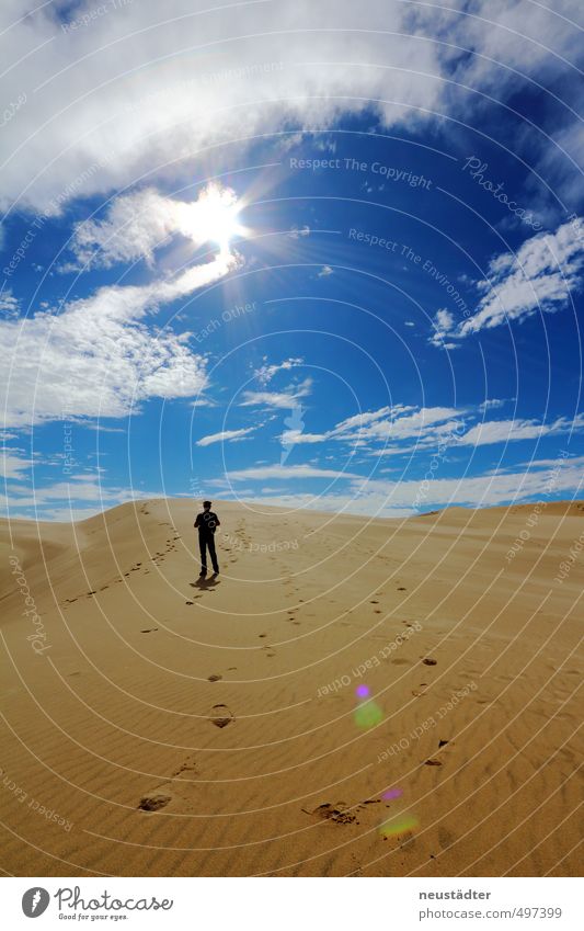 Wüste Ferien & Urlaub & Reisen Ausflug Abenteuer Ferne Freiheit Expedition Sommer Sonne Strand wandern Landschaft Sand Himmel Wolken Horizont Sonnenlicht