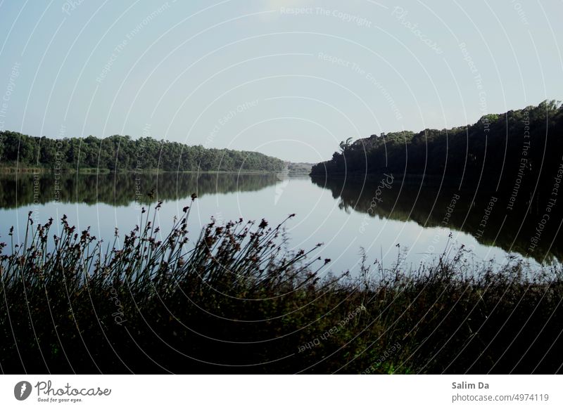 Weites Seebild mit schöner Wasserspiegelung Weitwinkel breit weite Sicht Weitblick Breitbild Seeufer Natur Naturschutzgebiet Natur-Foto Naturliebhaber