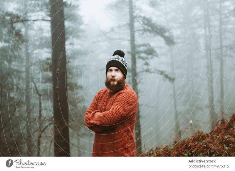 Bärtiger Mann in Pullover und Hut in der Nähe von Tannenbäumen Wald Regen Mantel Baum kalt Wetter Wasser Tropfen regnerisch bärtig nachdenklich Holz Denken Typ