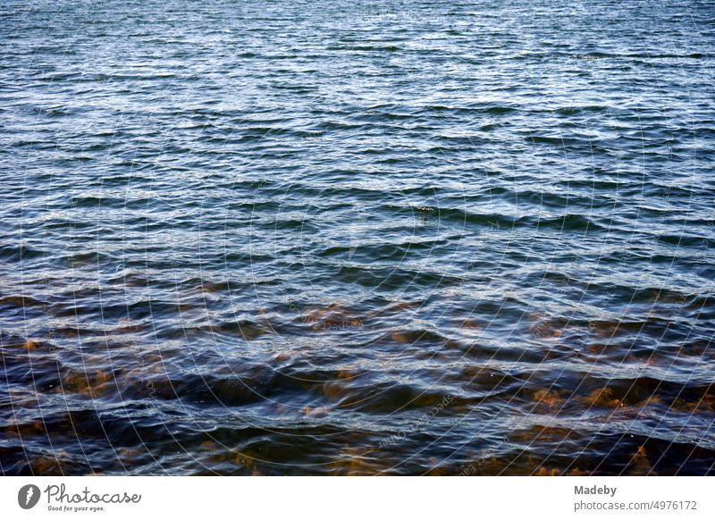 Dunkel und geheimnisvoll schimmernde Wasseroberfläche mit leichtem Wellengang des Poyrazlar Gölü bei Adapazari im Sommer bei Sonnenschein in der Provinz Sakarya in der Türkei