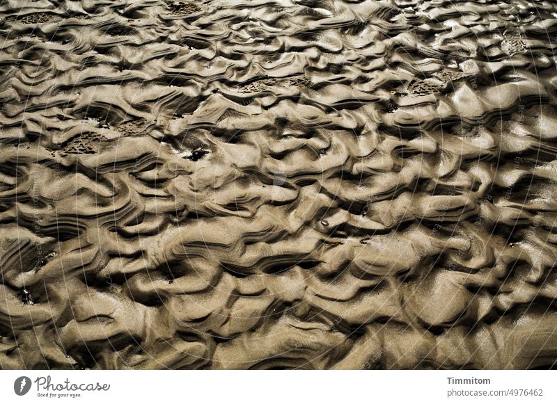 Ganz schön schön geformt Sand Strand Ebbe Form Natur Gezeiten Licht und Schatten Nordsee Dänemark Küste ebbe und flut Menschenleer plastisch