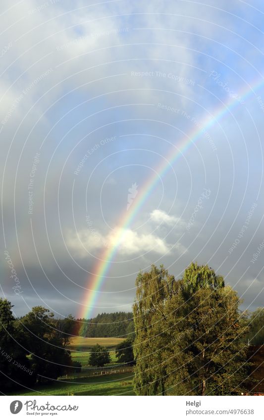 Regenbogen Sonnenschein Sonnenlicht Wetter Landschaft Natur Himmel bunt Baum Wolken Außenaufnahme Farbfoto Menschenleer Licht Schatten Sommer grün braun grau