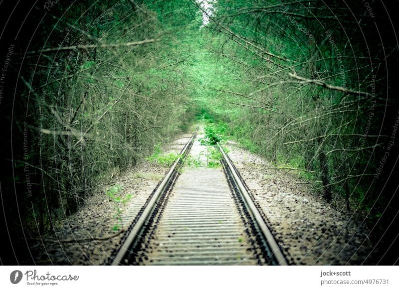 aufgegebene Bahnstrecke mitten durch den Wald Gleise Schiene Verkehrswege lost places Zahn der Zeit Endzeitstimmung Verfall Symmetrie Nadelbaum Natur Bahndamm