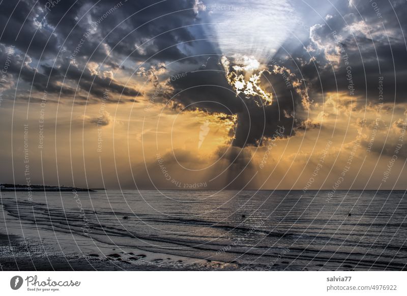 Himmel und Meer, dramatisch und hoffnungsvoll, Sonnenstrahlen und dunkle Wolken Horizont Licht Sonnenlicht Wasser Landschaft Wolkenengel Sonnenaufgang