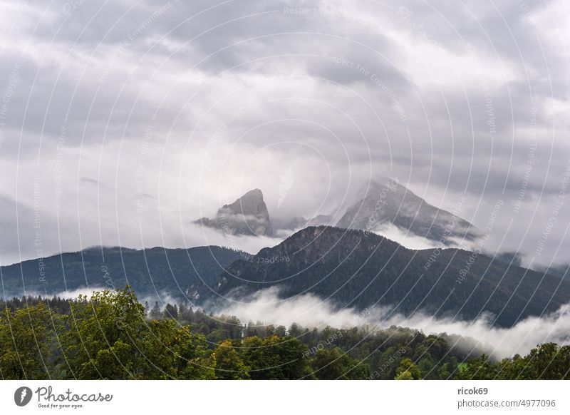 Blick auf den Berg Watzmann im Berchtesgadener Land Alpen Gebirge Bayern Baum Wald Gipfel Landschaft Natur Watzmannfrau Mittelspitze Sehenswürdigkeit Sommer