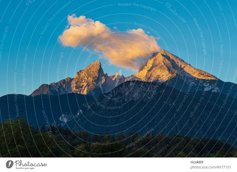 Blick auf den Berg Watzmann im Berchtesgadener Land Alpen Gebirge Bayern Baum Wald Gipfel Landschaft Natur Watzmannfrau Mittelspitze Sehenswürdigkeit Sommer