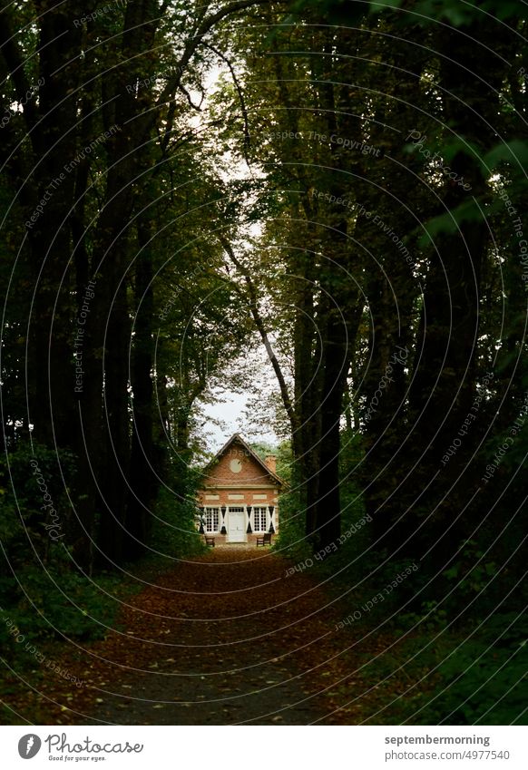 kleines Haus im dunklen Wald Weg dunkel am Ende des Tunnels ein Haus menschenleer farbig Waldhaus