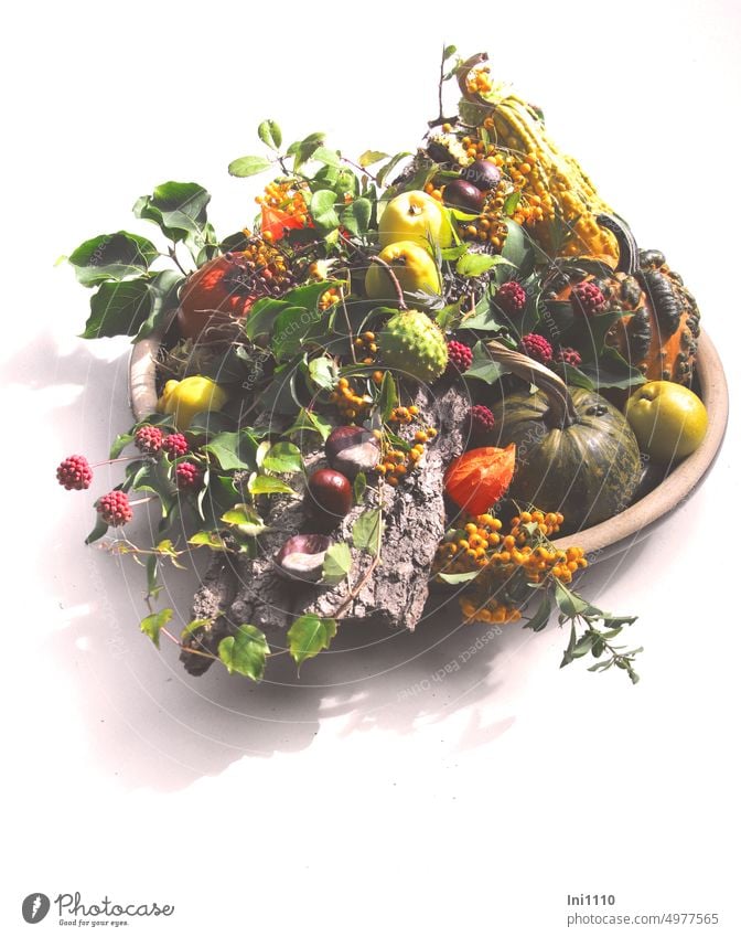 herbstliche Dekoration in einer runden Schale Herbst Tischdekoration Tonschale Zierkürbis Zierquitten Beeren vom Feuerdorn Physalis Lampionblume Kastanien